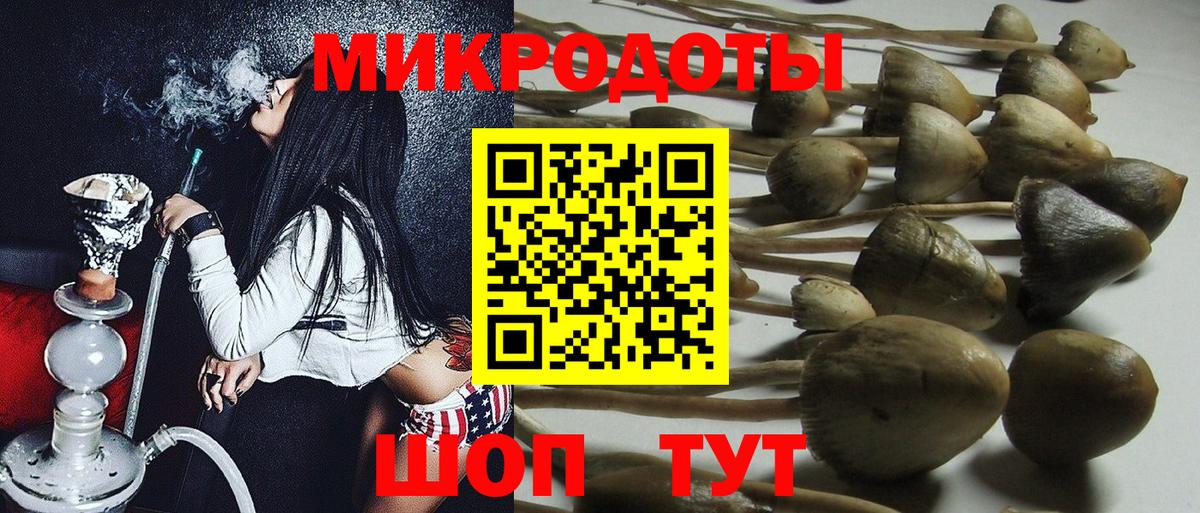 Псилоцибиновые грибы мицелий  Вход с VPN  Кемерово 