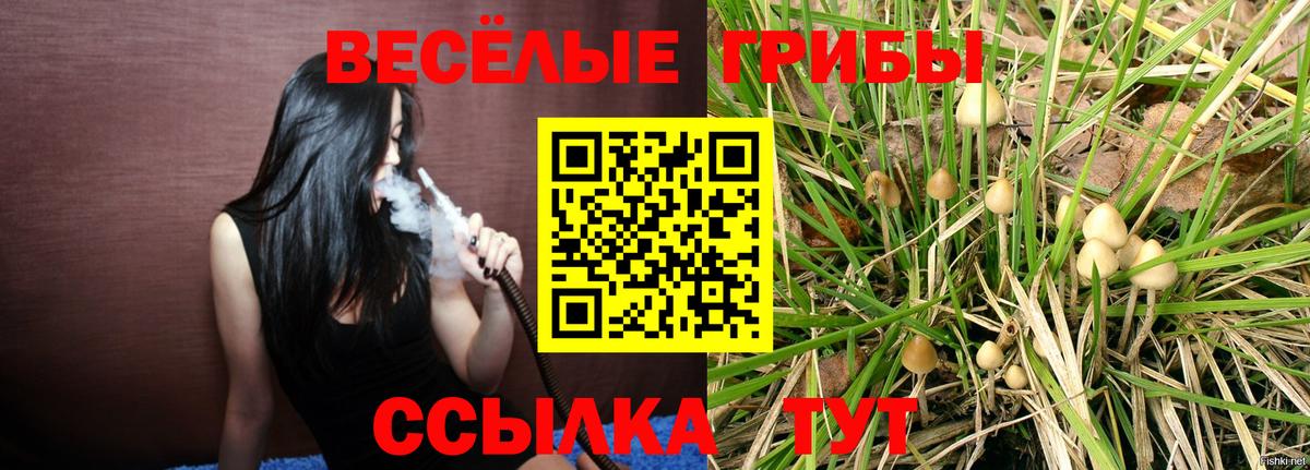 Псилоцибиновые грибы мицелий Кемерово